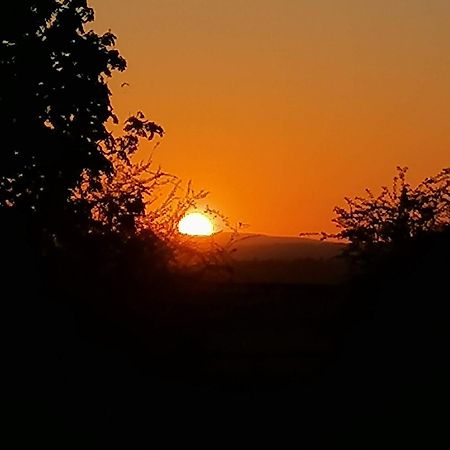 Stargazer Glamping Uk The Mahal 8 People Hotel Ross-on-Wye Екстериор снимка