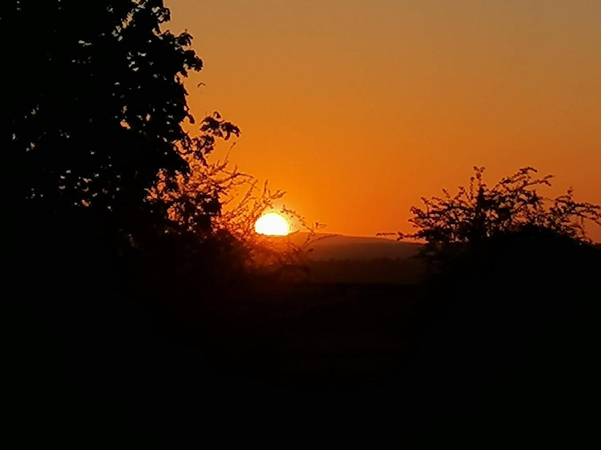 Stargazer Glamping Uk The Mahal 8 People Hotel Ross-on-Wye Екстериор снимка
